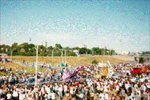Image of the Caribana crowd