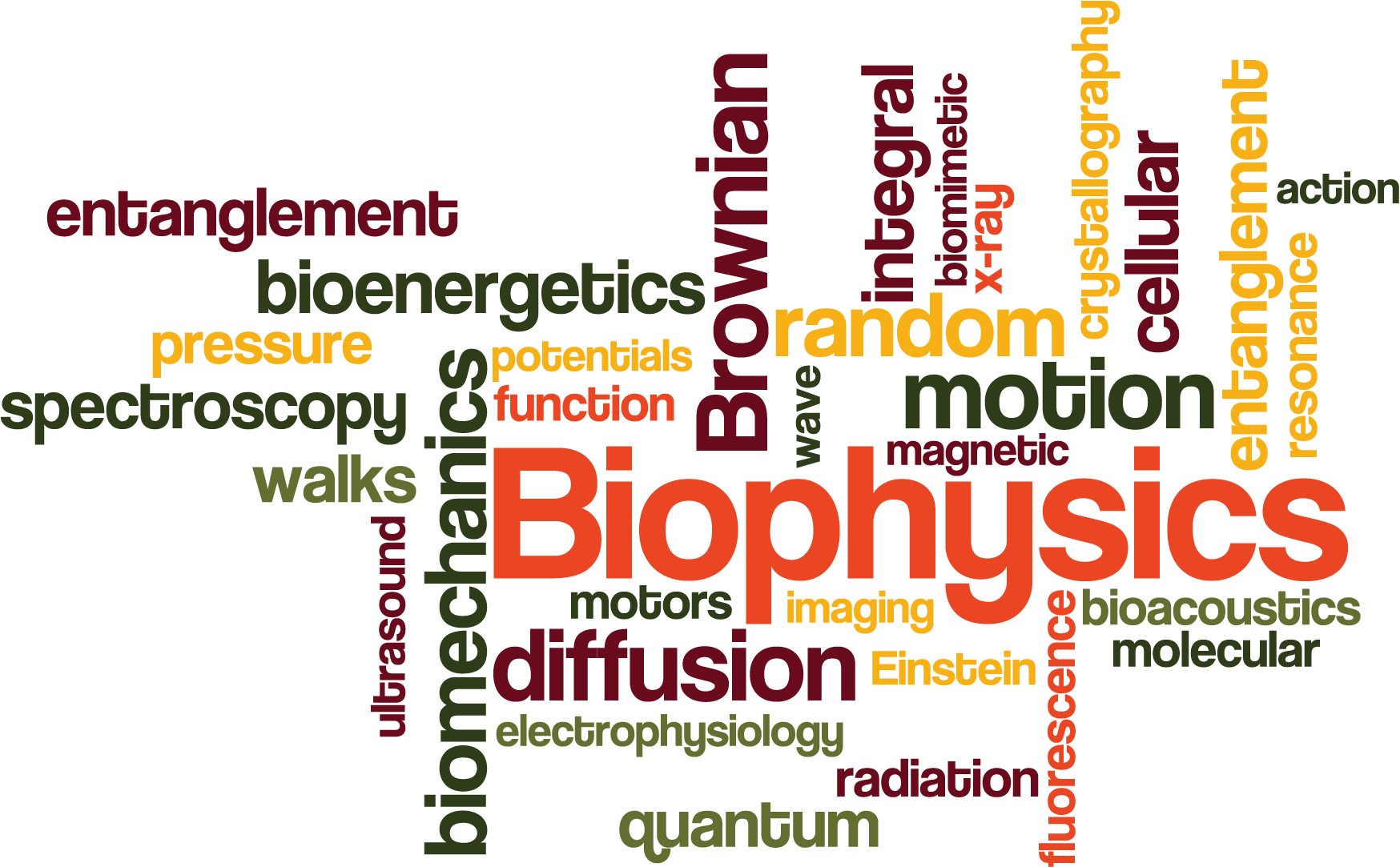 Biophysics Club Logo
