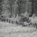 The Beauty of the Manitoulin