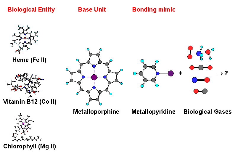 Biometallic Chemistry
