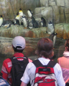 Students and Penguins