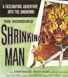 The Incredible Shrinking Man (Poster)