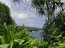 Shore photo from Maui botanical gardens