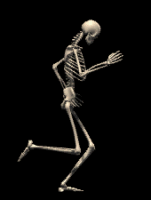 Human Skeleton Walking