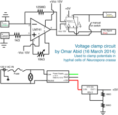 circuit diagram for voltage clamp
