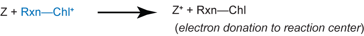 reaction for electron donation to reaction center