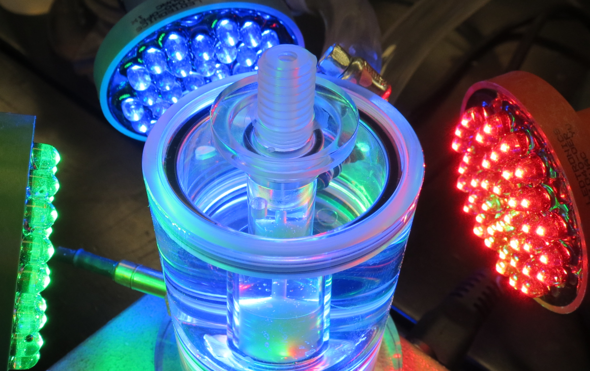 illumination for oxygen evolution setup by the students
