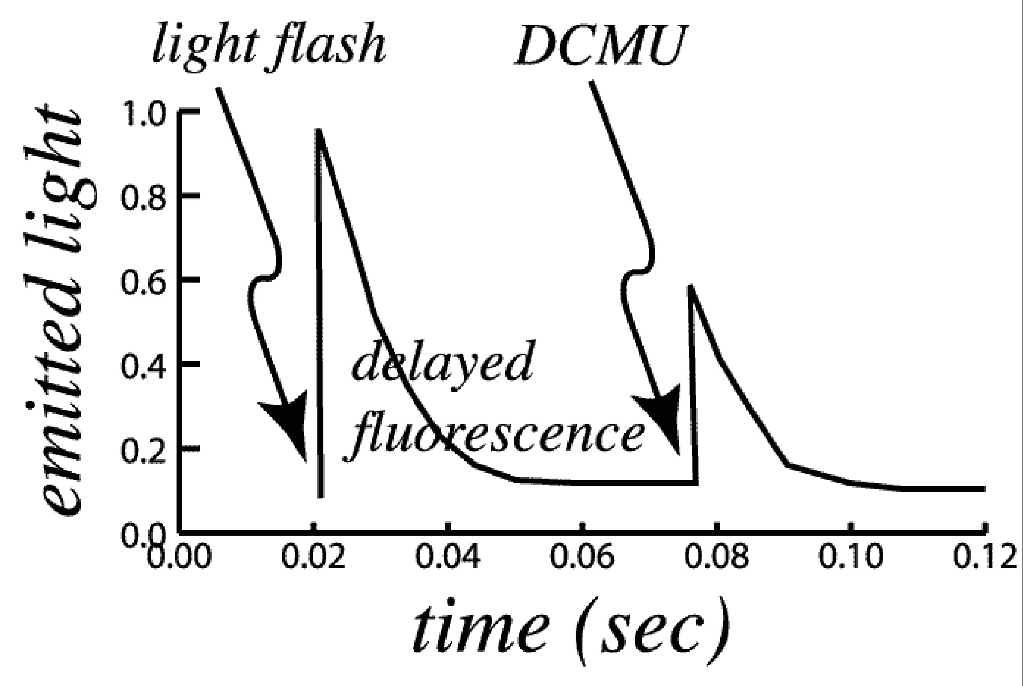 experiment demonstrates delayed fluorescence using DCMU