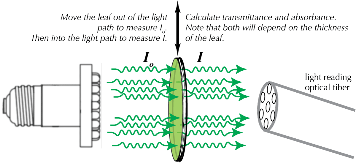 diagram explaining how transmittance measurements are made