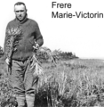 The Botanist Frere Marie-Victorin