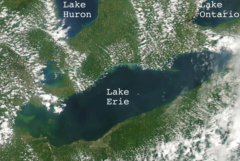 satellite image of algal blooms in Lake Erie 25 July 2018