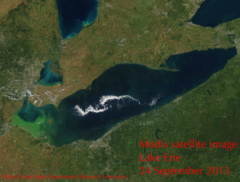 satellite image of algal blooms in Lake Erie