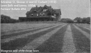 Bluegrass and white-clover lawn in 1912, USDA