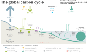 carbon cycling in a global/geological context