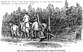 hemp cutting and raking in Kentucky --1901