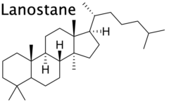 structure of lanostane, a protosterol