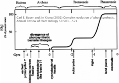 Timeline of atmospheric oxygen levels and major evolutionary transitions