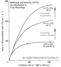 Limiting Factors in Photosynthetic Productivity --from Milthorpe and Moorby