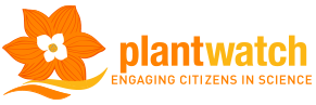 PlantWatch Logo
