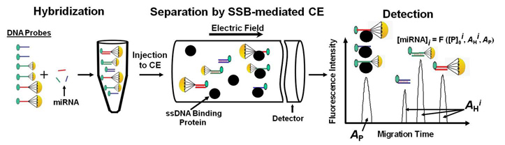 Schematic of DQAMmir