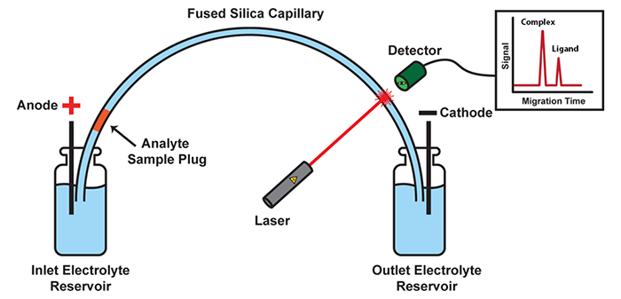 Schematic of a CE instrument