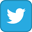 Twitter icon, link