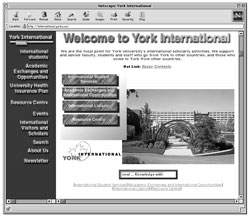 York International Website