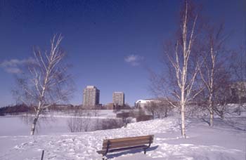 The Keele campus in January -looking northward over the Stong Pond to University residences.