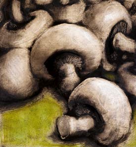 Mushrooms illustration: Ryan Price