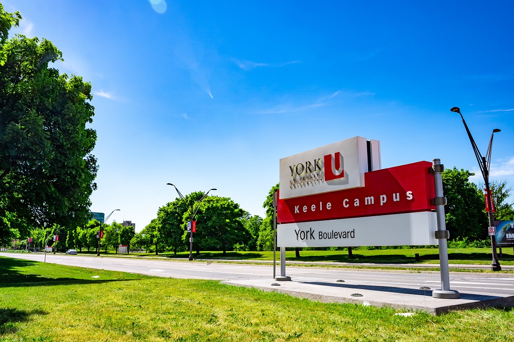 York University entrance sign under a clear sky