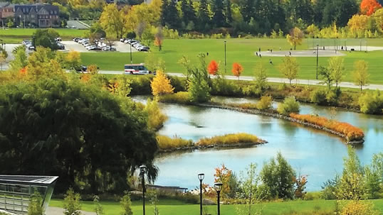 Scenic view of a pond surrounded by trees and a walking path.