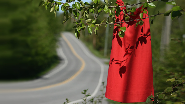 A red dress hands on a branch of a tree of the side of the highway