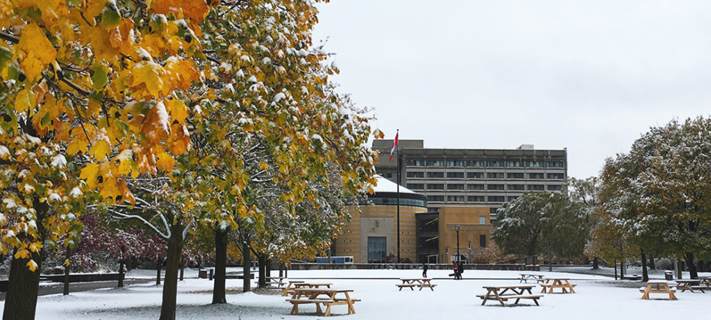 vari hall winter scene