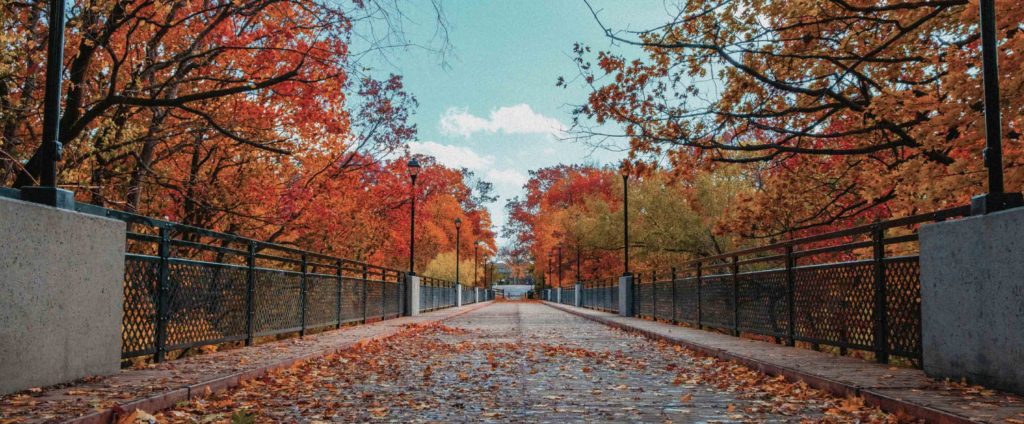 Walkway in the fall