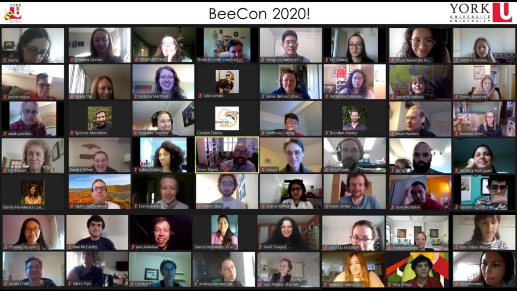 BeeCon 2020 on camera attendees