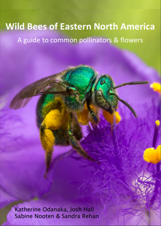 Downloadable bee guide