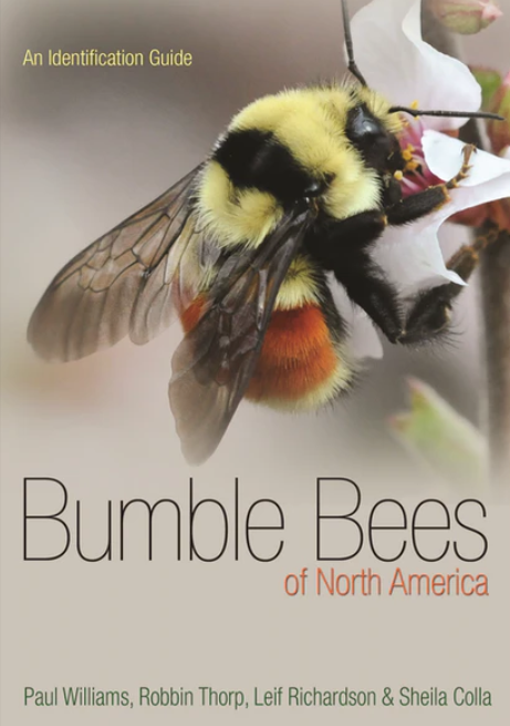 Bumble bee identification guide with Bombus ternarius on the cover