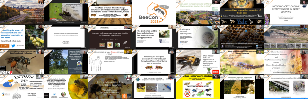 BeeCon 2021 presentations
