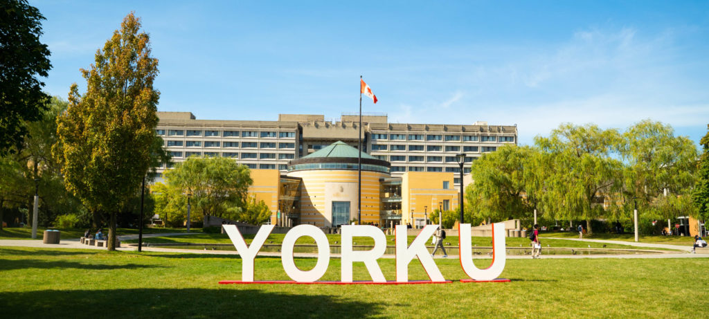 York U large white letter sit on the grass of the York University Keele Campus with Vari Hall in the background
