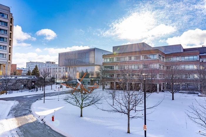 campus walk in snow