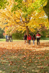arboretum-students-autumn6