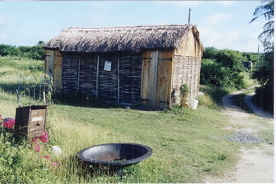 wood stick house