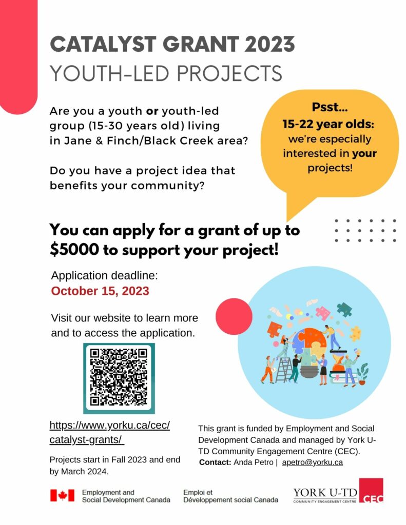 Poster with information about the catalyst grant. Graphic of a group of people building a lightbulb shaped puzzle.