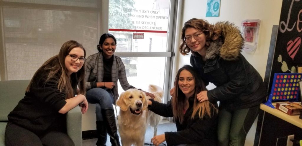 Four students smiling with Vari, the dog, in the middle.