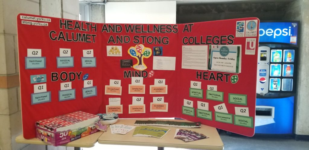 The Health and Wellness infographic board on top of a table.