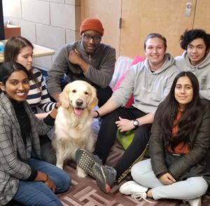 Six students sit on the floor around a golden retriever.  