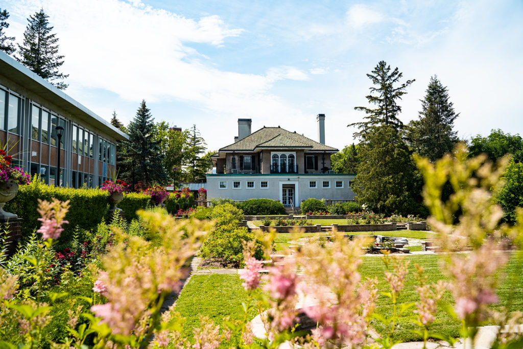 Rose garden on the the York University Glendon Campus