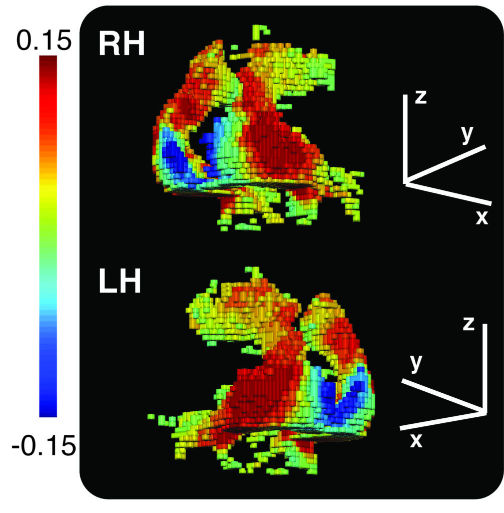 Reconstruction of voxels in brain based on their fMRI sensitivity to shape information