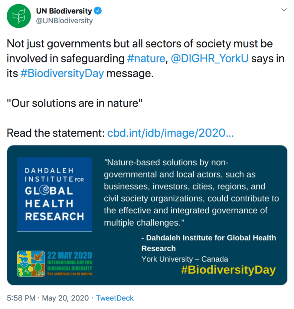 United Nations tweet about Synergies Statement
