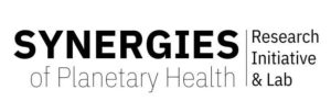 Logo of Synergies Project